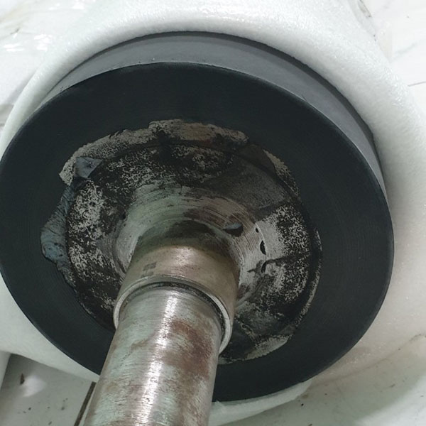 Công Ty TNHH Chính Kiệt